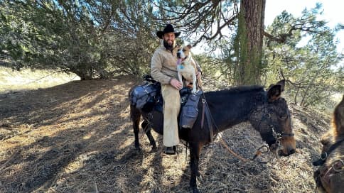 MTN High Hunters professional hunting team with pack mules and hunting dogs in Arizona White Mountains wilderness - Expert outfitters for trophy hunts